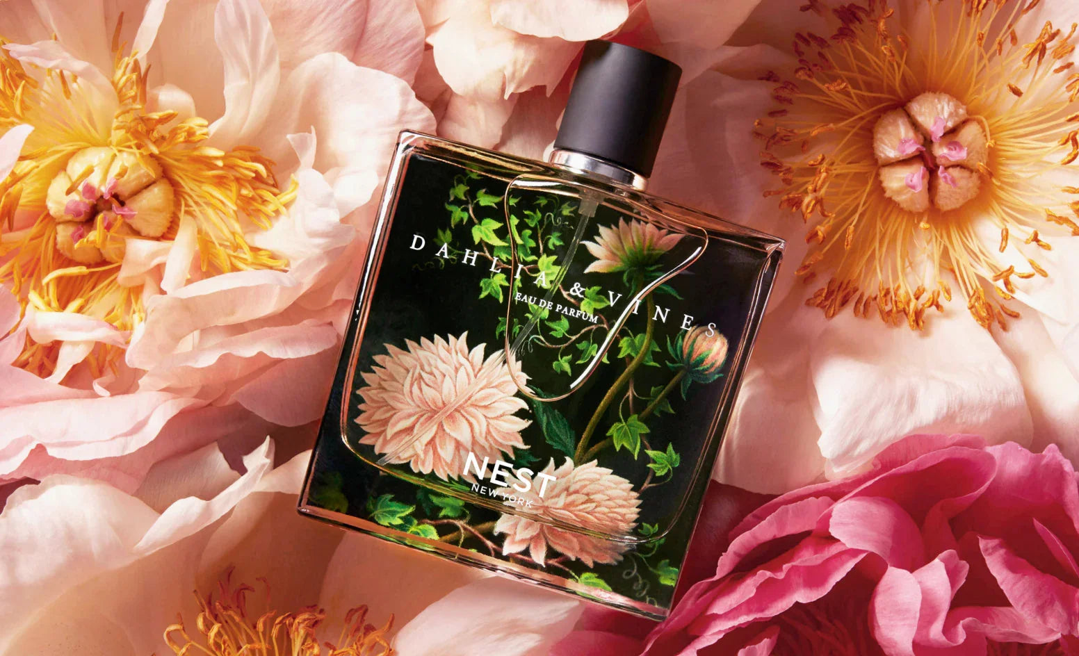 Dahlia & Vines Collection | NEST New York