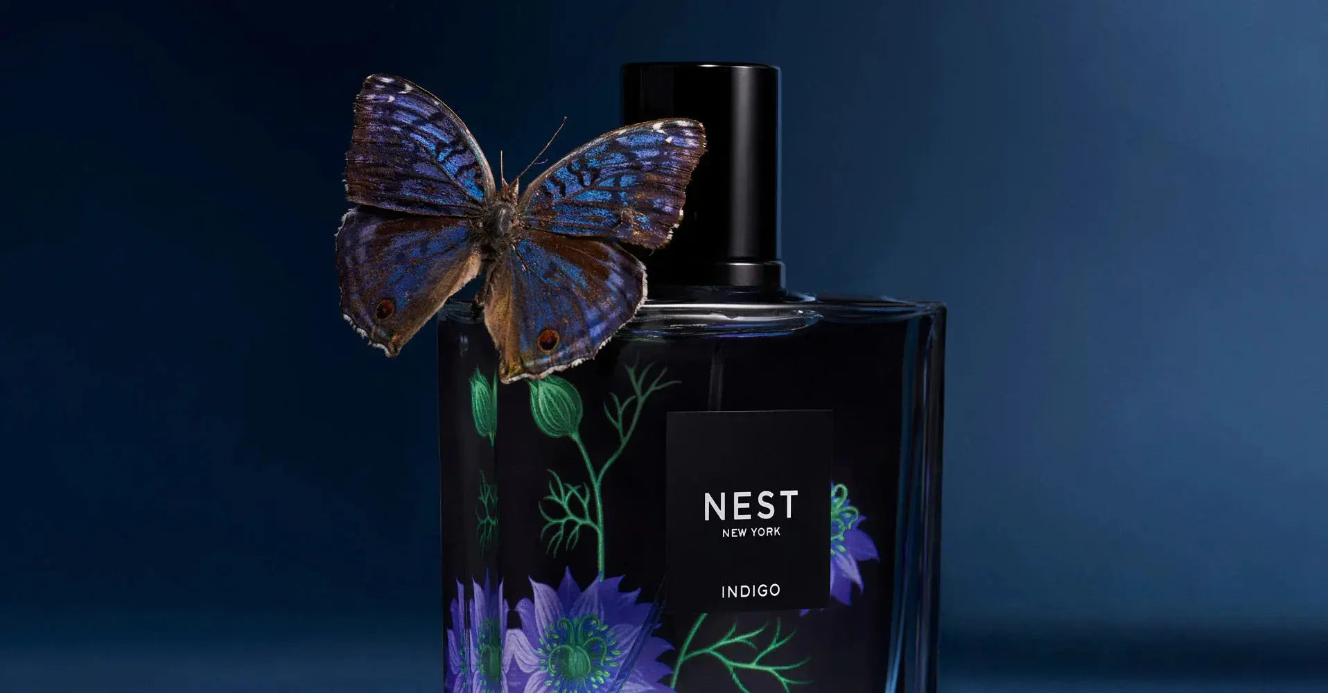 Indigo Collection | NEST New York