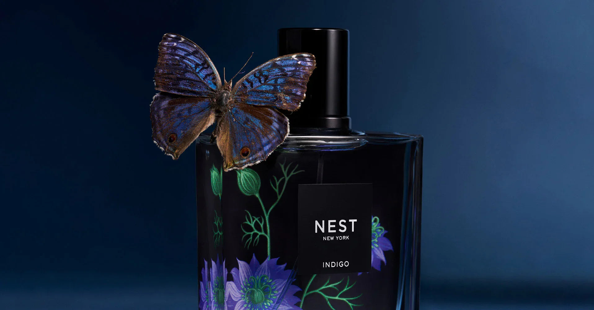 Indigo Collection | NEST New York