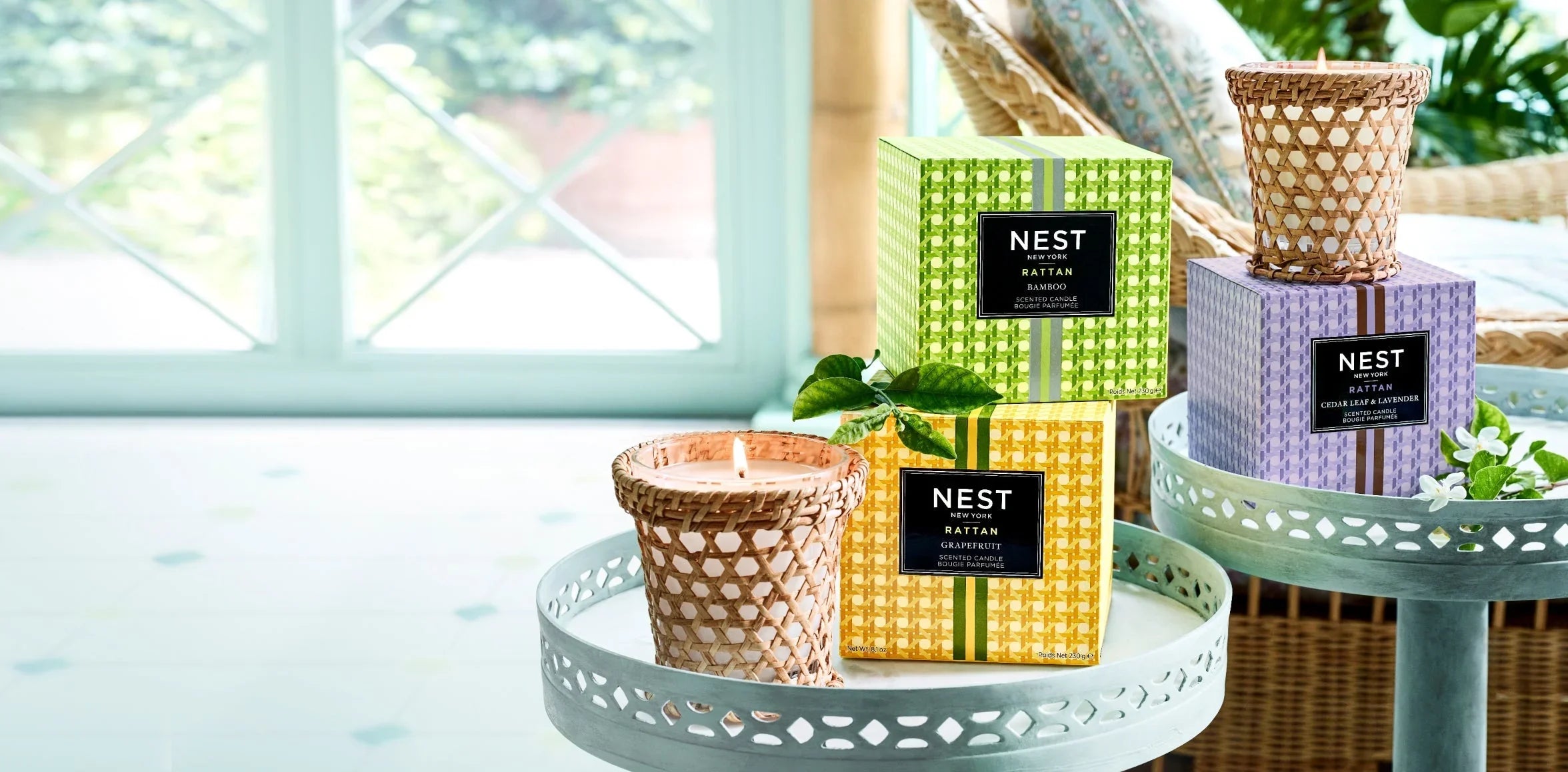 New Collections | NEST New York