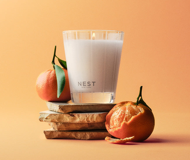 NESTNY_HOME_CAROUSEL_1_CAN.jpg