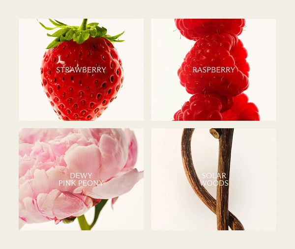 Santa Barbara Strawberry Travel Spray 8ml | NEST New York