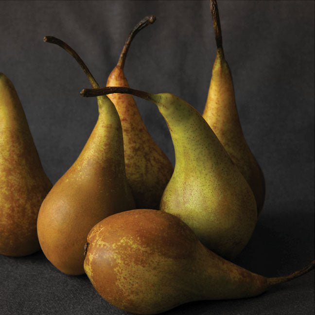 NEST New York anjou pear note