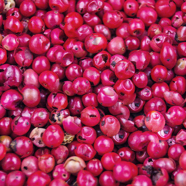 Turkish Rose Perfume Oil (30mL) | NEST New York