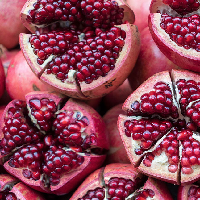 BUSH DE BRUNT ナウワン ＋ オールプレー ODセット BUSH DE BRUNT ナウワン ＋ オールプレー ODセット BUSH DE BRUNT