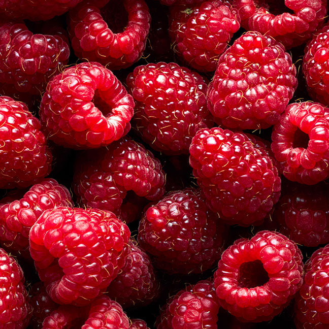 NEST New York red berries note