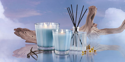 NEST New York driftwood & chamomile collection
